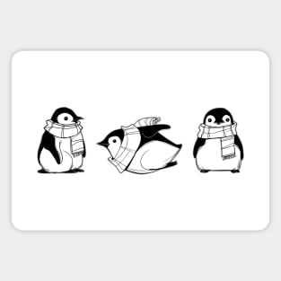 Winter Penguins with scarves Magnet